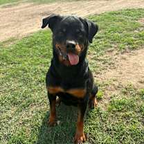 Thumbnail photo of Penelope JuM #1