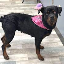 Thumbnail photo of Penelope JuM #2