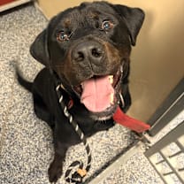 Thumbnail photo of Detective #2