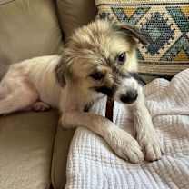 Thumbnail photo of Casper #2