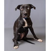 Thumbnail photo of Mia #4