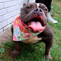 Thumbnail photo of Ms. Badu #3