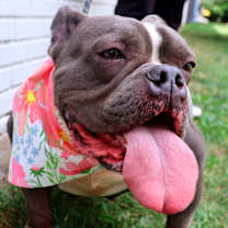 Thumbnail photo of Ms. Badu #4