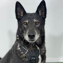 Thumbnail photo of Pamela #1