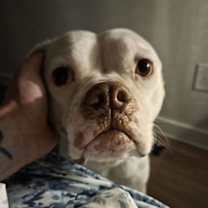 Thumbnail photo of Coco #2