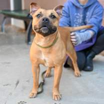 Thumbnail photo of Beach Wave #4