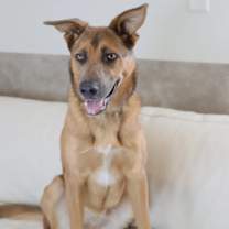 Thumbnail photo of Maya #4