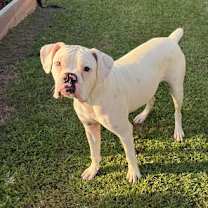 Thumbnail photo of RITCHIE #1