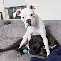 Thumbnail photo of RITCHIE #3