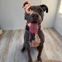 Thumbnail photo of Sabrina Elodie #1