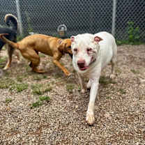 Thumbnail photo of Bubbles #4