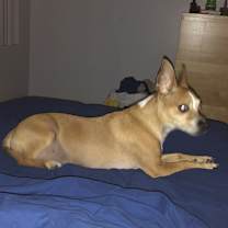 Thumbnail photo of Todd #3