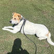 Thumbnail photo of Oso #2