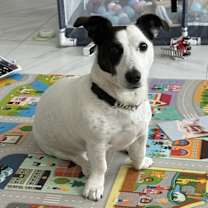 Thumbnail photo of Bentley #4