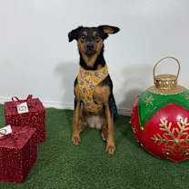 Thumbnail photo of Zara #2