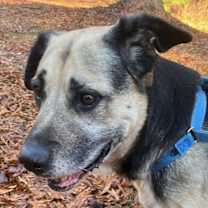 Thumbnail photo of Derwood #1