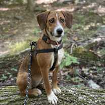 Thumbnail photo of Sasha #4