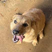 Thumbnail photo of Ivory #2