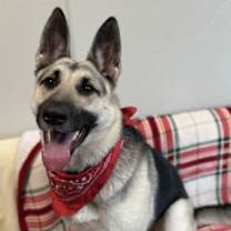 Thumbnail photo of Jessica #4