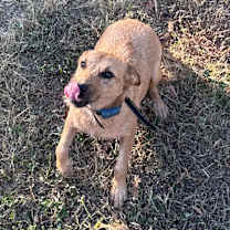 Thumbnail photo of Ivory #3