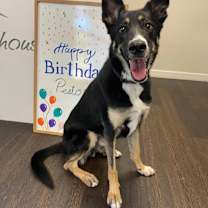 Thumbnail photo of Pesto #1