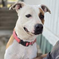 Thumbnail photo of Winnie #4