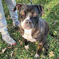 Thumbnail photo of Laila #1