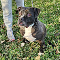 Thumbnail photo of Laila #2