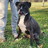 Thumbnail photo of Laila #4