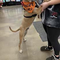 Thumbnail photo of Luca #4