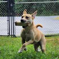 Thumbnail photo of Stacey - CCHS #2