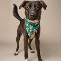 Thumbnail photo of Brian #2