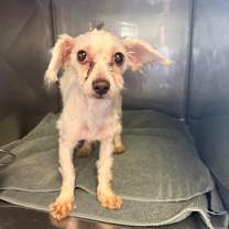 Thumbnail photo of Cinderbella #3