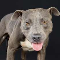 Thumbnail photo of Outkast #1