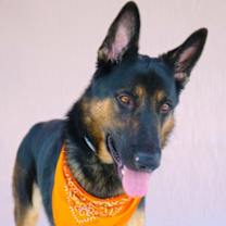 Thumbnail photo of MAX #1