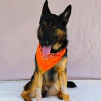 Thumbnail photo of MAX #2