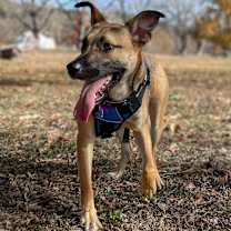 Thumbnail photo of Mark #1