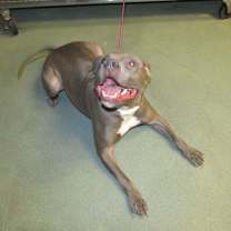 Thumbnail photo of Charlie #4