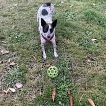 Thumbnail photo of Zoe #3