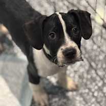 Thumbnail photo of Eisen Parks #1