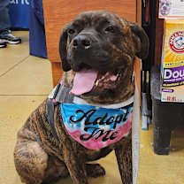 Thumbnail photo of Candyland  #1