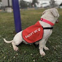 Thumbnail photo of Elsa #4