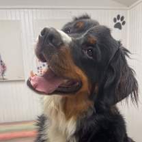 Thumbnail photo of Flash #1