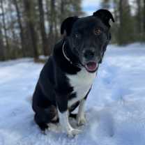 Thumbnail photo of Wilson #1