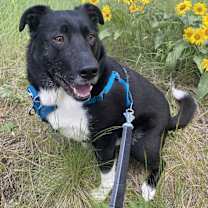 Thumbnail photo of Wilson #4