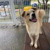 Thumbnail photo of Kuni #2