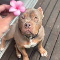 Thumbnail photo of Charlie #4