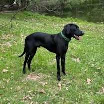 Thumbnail photo of Wallen (aka Bubby) #2