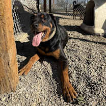 Thumbnail photo of Cooper #3