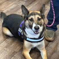 Thumbnail photo of Aldean #4